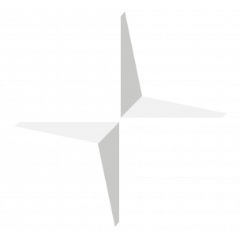 PolestarLogo1000x1000